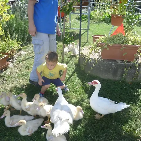 La Capanna Dei Carri 펜션