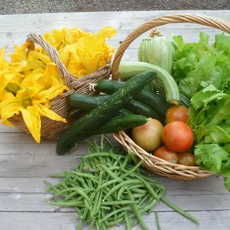 La Capanna Dei Carri 펜션 *