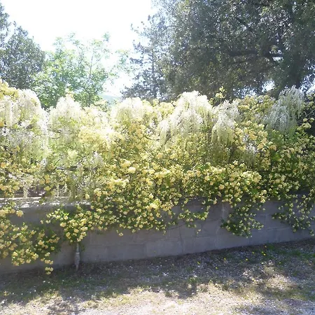 La Capanna Dei Carri *