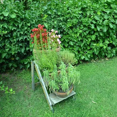 Casa vacanze La Capanna Dei Carri *