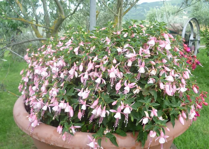 別荘 La Capanna Dei Carri Paciano