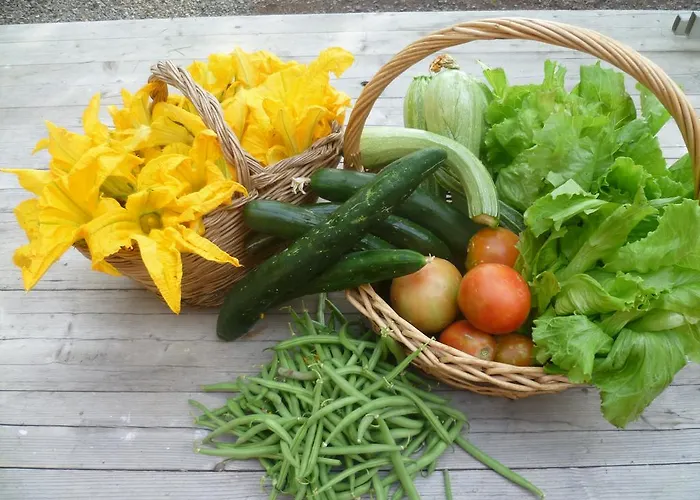 La Capanna Dei Carri Casa de Férias *