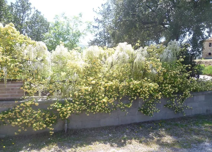 La Capanna Dei Carri *